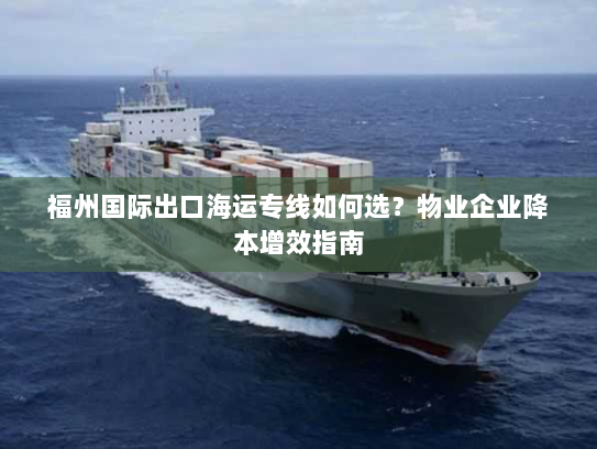 福州国际出口海运专线如何选？物业企业降本增效指南