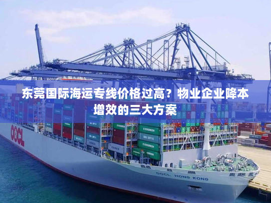 东莞国际海运专线价格过高？物业企业降本增效的三大方案