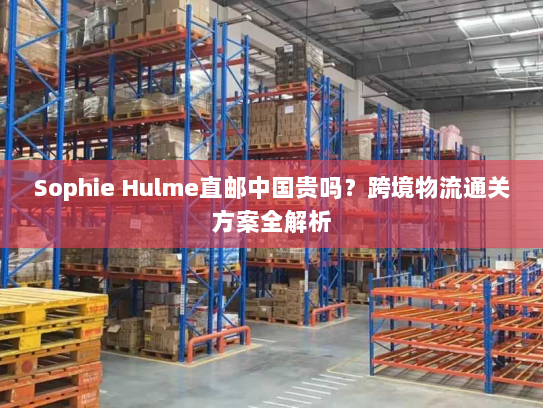 Sophie Hulme直邮中国贵吗?跨境物流通关方案全解析 Sophie Hulme直邮中国贵吗?跨境物流通关方案全解析