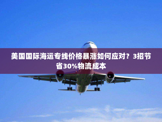 美国国际海运专线价格暴涨如何应对?3招节省30%物流成本 美国国际海运专线价格暴涨如何应对?3招节省30%物流成本