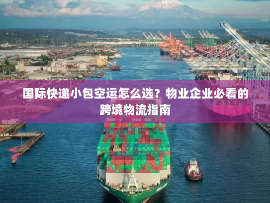 国际快递小包空运怎么选?物业企业必看的跨境物流指南 国际快递小包空运怎么选?物业企业必看的跨境物流指南