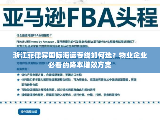 浙江菲律宾国际海运专线如何选?物业企业必看的降本增效方案 浙江菲律宾国际海运专线如何选?物业企业必看的降本增效方案