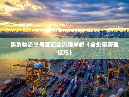 黑豹物流单号查询全流程详解(含批量管理技巧) 黑豹物流单号查询全流程详解(含批量管理技巧)
