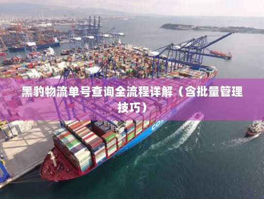 黑豹物流单号查询全流程详解(含批量管理技巧) 黑豹物流单号查询全流程详解(含批量管理技巧)