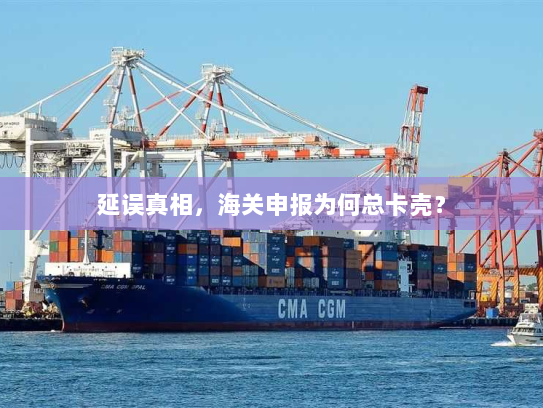延误真相,海关申报为何总卡壳? 延误真相,海关申报为何总卡壳?