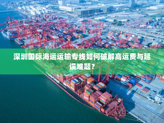 深圳国际海运运输专线如何破解高运费与延误难题？