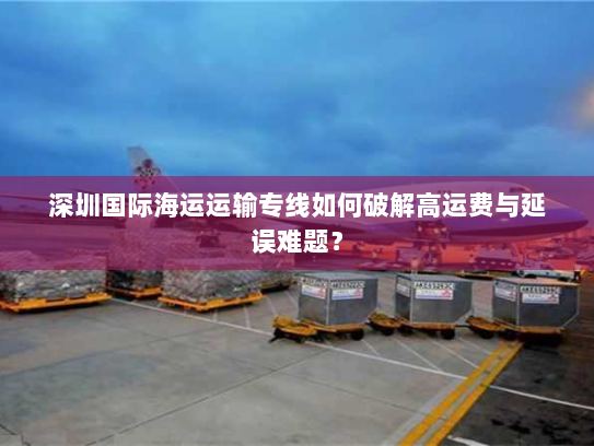 深圳国际海运运输专线如何破解高运费与延误难题？