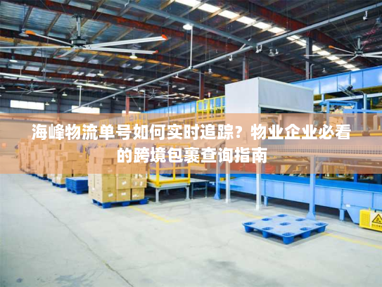 海峰物流单号如何实时追踪?物业企业必看的跨境包裹查询指南 海峰物流单号如何实时追踪?物业企业必看的跨境包裹查询指南