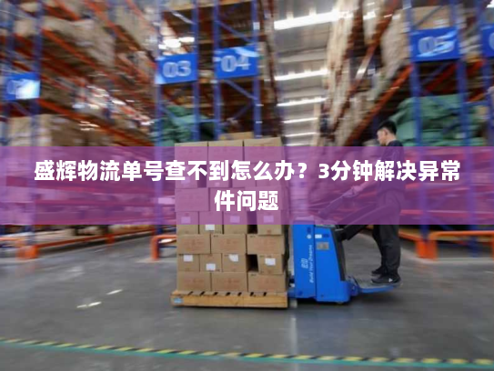 盛辉物流单号查不到怎么办?3分钟解决异常件问题 盛辉物流单号查不到怎么办?3分钟解决异常件问题
