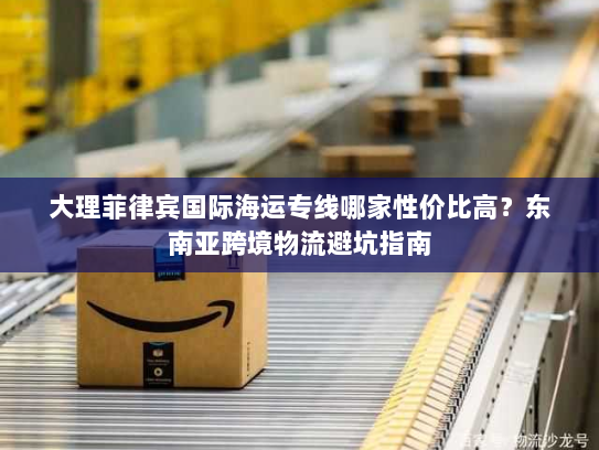 大理菲律宾国际海运专线哪家性价比高？东南亚跨境物流避坑指南