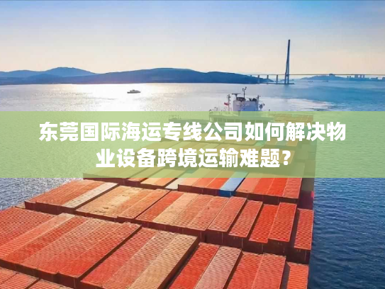 东莞国际海运专线公司如何解决物业设备跨境运输难题？