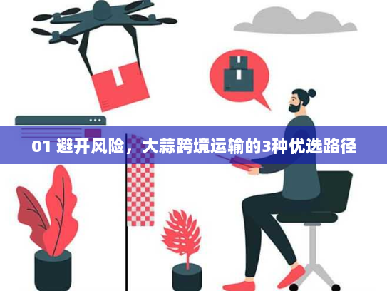 01 避开风险，大蒜跨境运输的3种优选路径