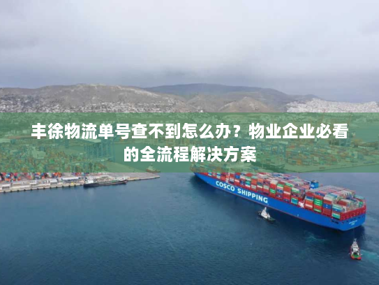 丰徐物流单号查不到怎么办?物业企业必看的全流程解决方案 丰徐物流单号查不到怎么办?物业企业必看的全流程解决方案