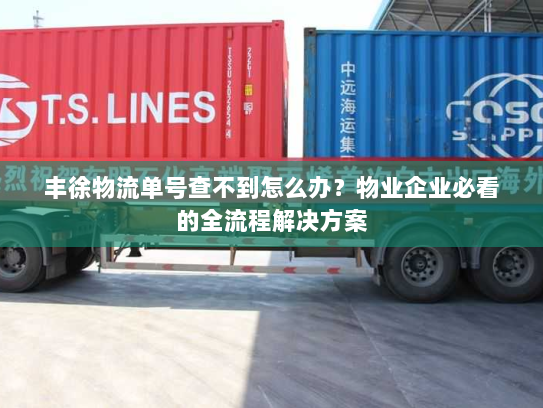 丰徐物流单号查不到怎么办?物业企业必看的全流程解决方案 丰徐物流单号查不到怎么办?物业企业必看的全流程解决方案