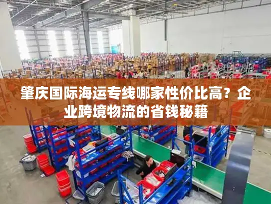 肇庆国际海运专线哪家性价比高？企业跨境物流的省钱秘籍
