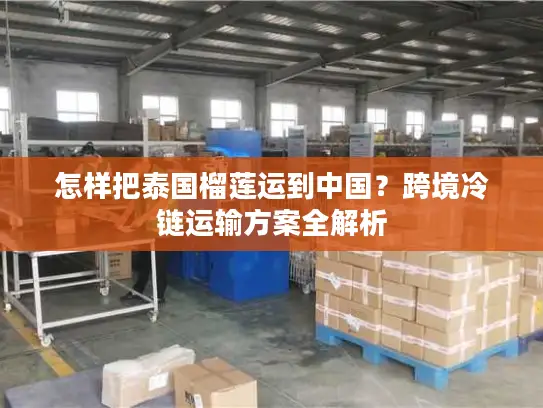 怎样把泰国榴莲运到中国？跨境冷链运输方案全解析