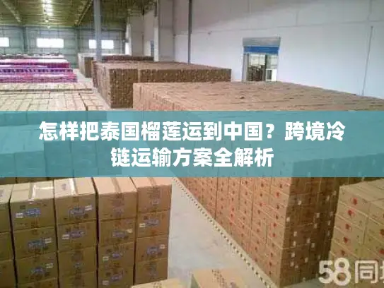 怎样把泰国榴莲运到中国？跨境冷链运输方案全解析