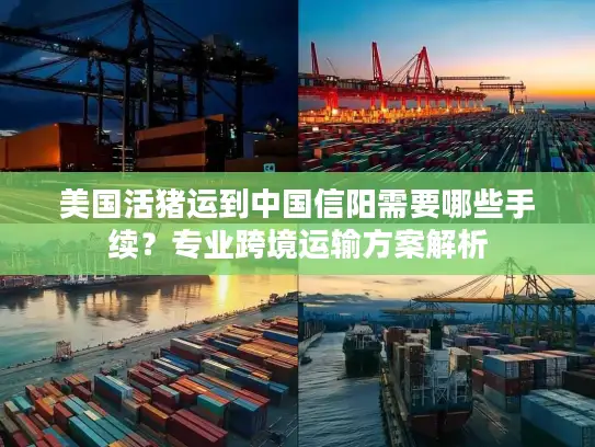 美国活猪运到中国信阳需要哪些手续？专业跨境运输方案解析