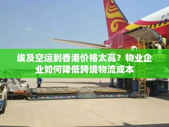 埃及空运到香港价格太高？物业企业如何降低跨境物流成本