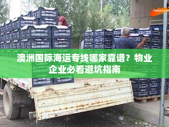 澳洲国际海运专线哪家靠谱？物业企业必看避坑指南