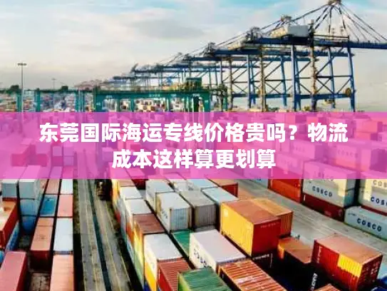 东莞国际海运专线价格贵吗？物流成本这样算更划算