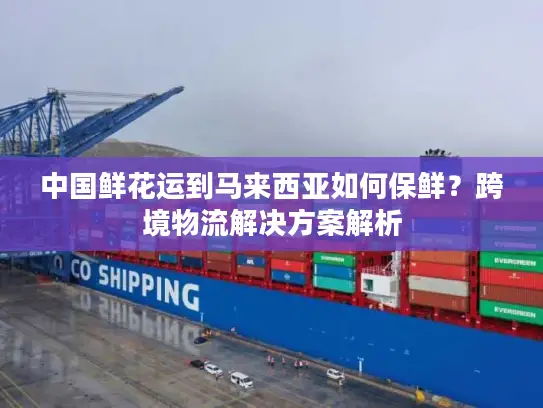 中国鲜花运到马来西亚如何保鲜？跨境物流解决方案解析