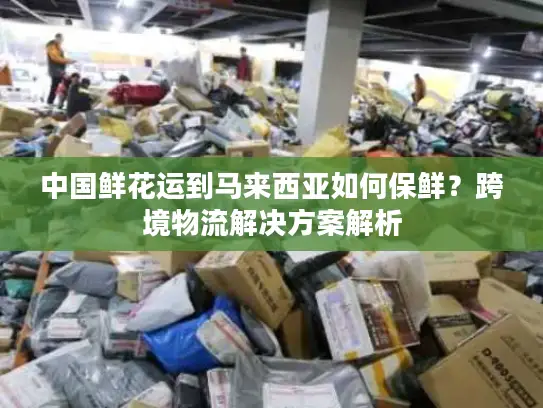 中国鲜花运到马来西亚如何保鲜？跨境物流解决方案解析