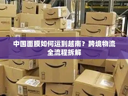 中国面膜如何运到越南？跨境物流全流程拆解