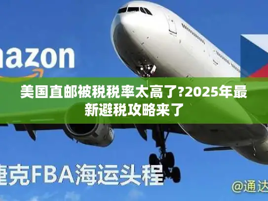 美国直邮被税税率太高了?2025年最新避税攻略来了