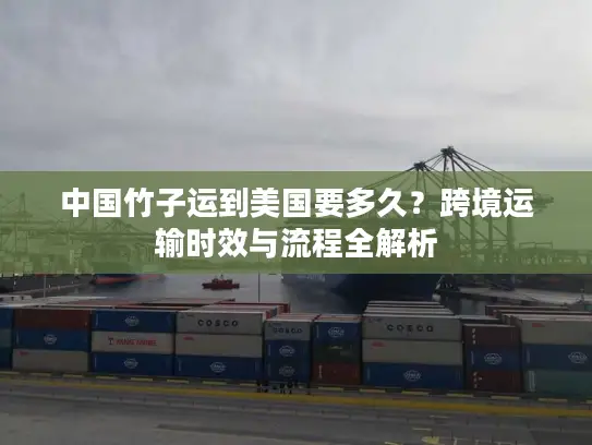 中国竹子运到美国要多久？跨境运输时效与流程全解析