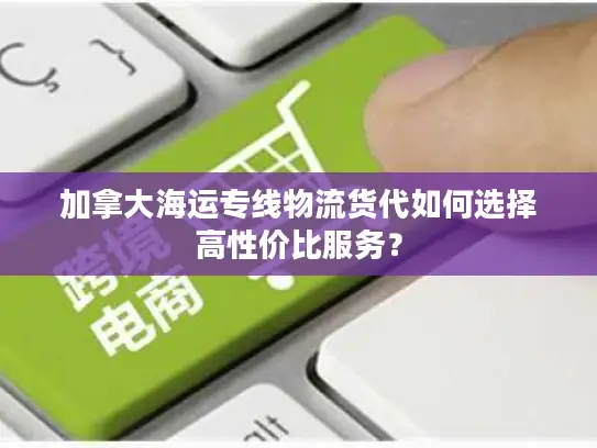 加拿大海运专线物流货代如何选择高性价比服务？