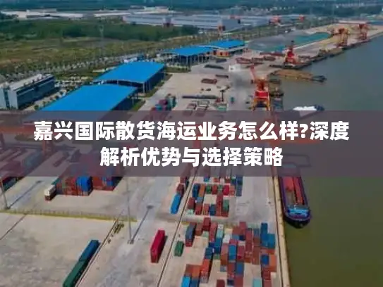 嘉兴国际散货海运业务怎么样?深度解析优势与选择策略