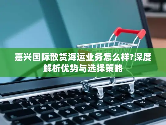 嘉兴国际散货海运业务怎么样?深度解析优势与选择策略