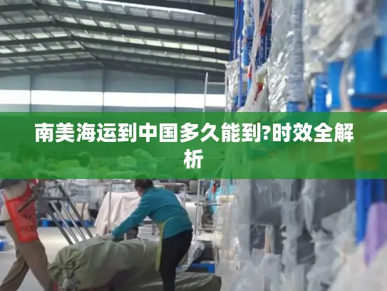南美海运到中国多久能到?时效全解析