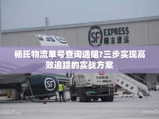 杨氏物流单号查询遇阻?三步实现高效追踪的实战方案