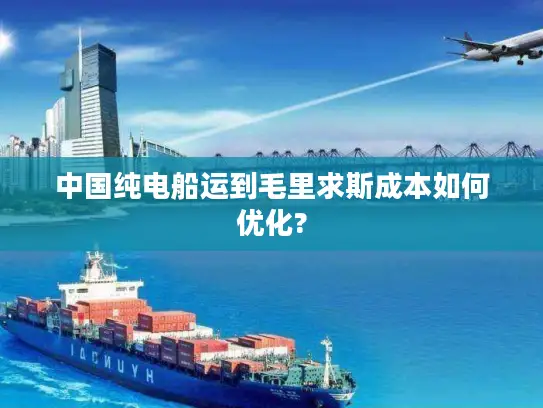 中国纯电船运到毛里求斯成本如何优化?