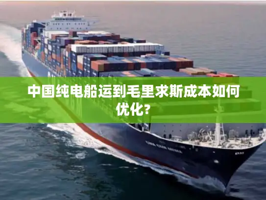 中国纯电船运到毛里求斯成本如何优化?