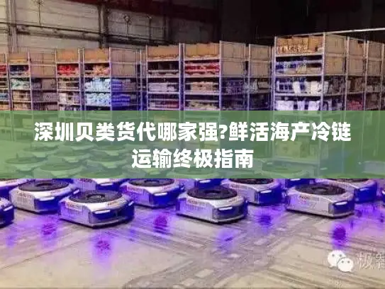深圳贝类货代哪家强?鲜活海产冷链运输终极指南
