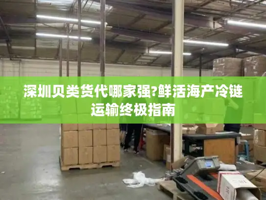 深圳贝类货代哪家强?鲜活海产冷链运输终极指南