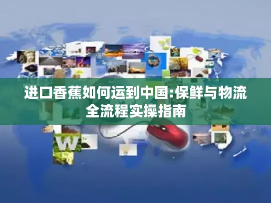 进口香蕉如何运到中国:保鲜与物流全流程实操指南