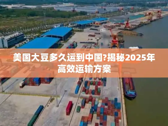 美国大豆多久运到中国?揭秘2025年高效运输方案
