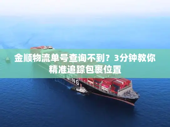 金顺物流单号查询不到？3分钟教你精准追踪包裹位置