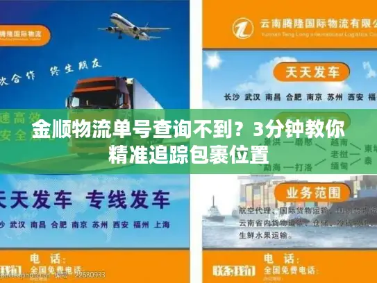 金顺物流单号查询不到？3分钟教你精准追踪包裹位置