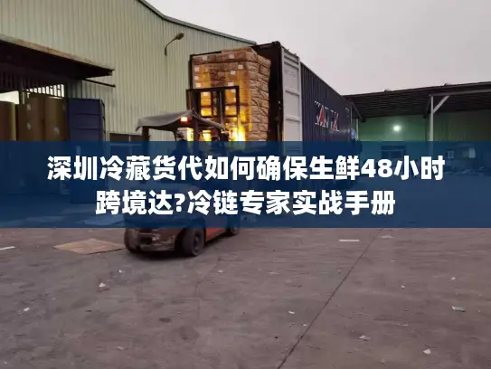 深圳冷藏货代如何确保生鲜48小时跨境达?冷链专家实战手册