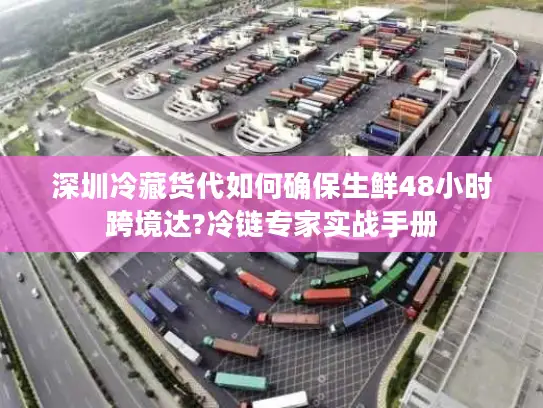 深圳冷藏货代如何确保生鲜48小时跨境达?冷链专家实战手册