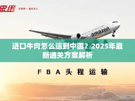 进口牛肉怎么运到中国？2025年最新通关方案解析