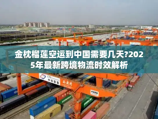 金枕榴莲空运到中国需要几天?2025年最新跨境物流时效解析