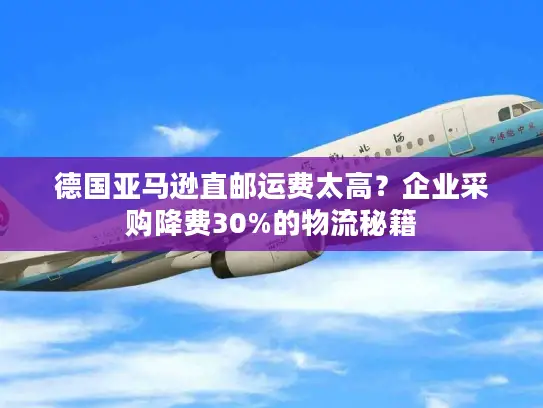德国亚马逊直邮运费太高？企业采购降费30%的物流秘籍