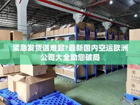 紧急发货遇难题?最新国内空运欧洲公司大全助您破局