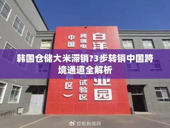 韩国仓储大米滞销?3步转销中国跨境通道全解析